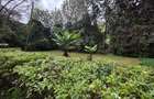 Land in Ngong Road - 2