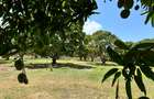 505.86 m² Land in Kikambala - 7
