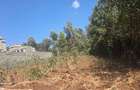 0.25 ac Land at Kerarapon Drive - 3
