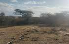 31 ac Land at Sekenani - 2