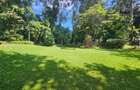 4 Bed House with En Suite in Nyari - 2
