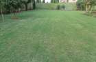 4 Bed Townhouse with En Suite in Karen - 4