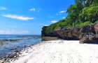 167.5 ac Land at Kuruwitu Beach - 19