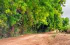 20 ac Land at Kuruwitu Beach Road - 8