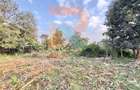 1.25 ac Land at White House Estate - 2