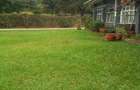 Commercial Property with Parking in Lavington - 6