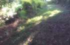1.2 ac Land in Ngong - 19