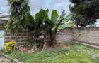 3 Bed House with En Suite at Green Fields Estate - 3