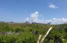Land in Watamu - 14