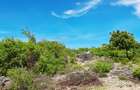Land at Watamu - 6