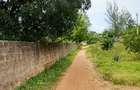 Land at Kilifi Town - 11