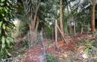 1 ac Land in Kitisuru - 7