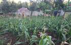 0.0113 ac Residential Land in Ngong - 4