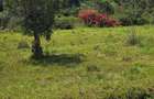 Land in Karen - 2