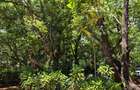 2 ac Land at Bamburi Beach - 11