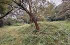 1.6 ac Land in Riverside - 1