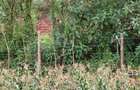 Land in Nyeri - 3