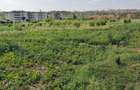 405 m² Residential Land at Sabaki - 1
