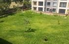 2 Bed Apartment with En Suite at Northland Heights Apartments - 2