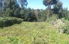 Land at Vipingo Kilifi - 2