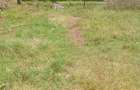 Land in Loresho - 4