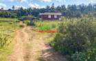0.05 ha Residential Land in Kikuyu Town - 6