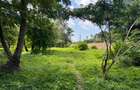 Land at Kikambala - Mombasa Malindi Highway - 9