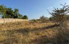 108 ac Land at Kilifi Plantation - 12