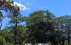 Land at Vipingo - 6