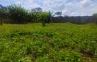 0.5 ac Commercial Land in Tigoni - 3