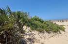 Land in Malindi - 6