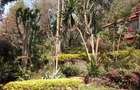 4 Bed House with En Suite at Old Muthaiga - 2