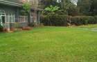 Commercial Property with Parking in Lavington - 7