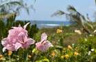4 Bed Villa with En Suite at Watamu - 5