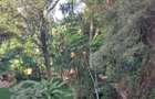 Land at Church Road - 4