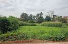 0.365 ac Land at Mushroom Road - 6