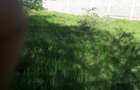 0.25 ac Residential Land in Ongata Rongai - 10