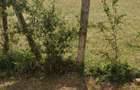 Land in Kisumu - 2
