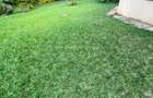 4 Bed Townhouse with En Suite in Lavington - 20