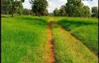 Residential Land at Juja-Gatundu Road - 8