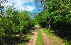 73.6 ac Land at Vipingo Kuruwitu Beach - 17