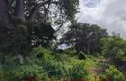 0.25 ac Land at Diani Beach Road - 3