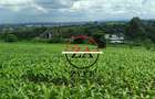 0.125 ac Land at Kanunga Kiambu Road - 5