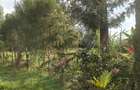 Residential Land in Garden Estate - 2