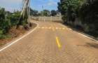0.365 ac Land at Mushroom Road - 13