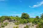 Land at Watamu - 12