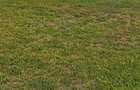 0.115 m² Land at Opp Hotel Comster - 3