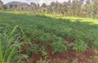 Land at Kibirichia - 19