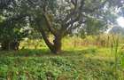 Land in Lower Kabete - 3