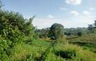 Land in Tigoni - 6